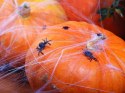 Sztuczna pajęczyna sieć na Halloween + 2 pająki