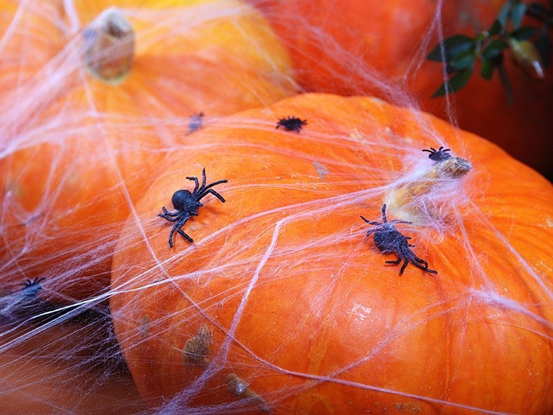 Dekoracje na Halloween balony pająki napis ZESTAW