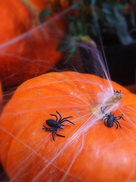 Duża sztuczna pajęczyna na Halloween + 2 pająki