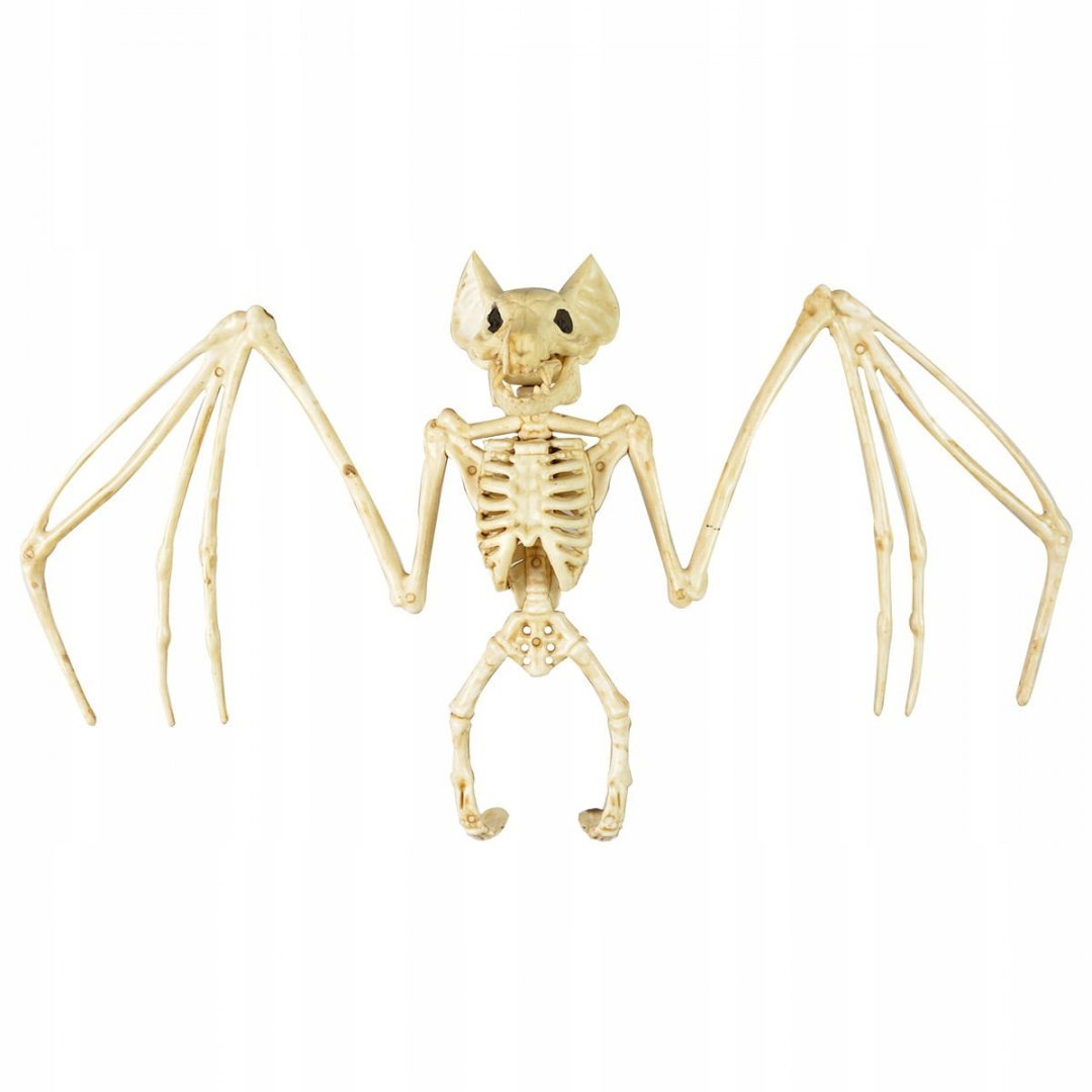 Szkielet nietoperz ozdoby dekoracje na Halloween
