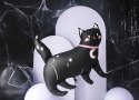 Balon czarny Kotek