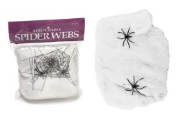 Pajęczyna pajęczyny sieć pajęcza Halloween pająki